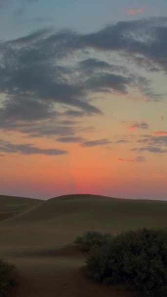 印度塔尔沙漠的日出 随着时间的流逝而变大 垂直录像 — 图库视频影像