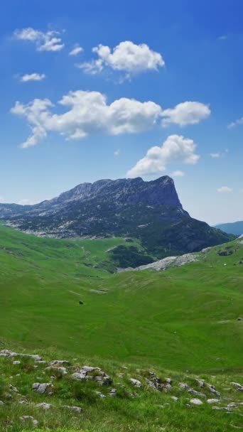 Landscape Mountains Park Durmitor Montenegro Timelapse Vertical Video — Vídeo de Stock