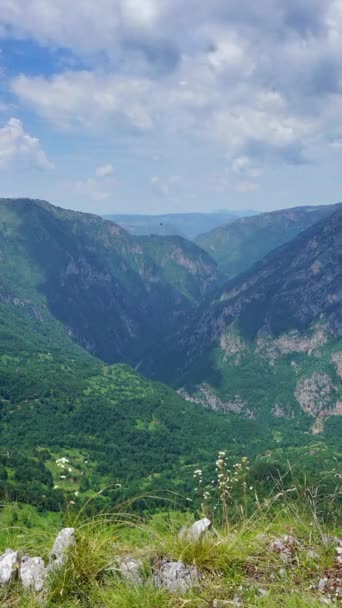 Landscape Mountains Park Durmitor Montenegro Timelapse Vertical Video — Vídeo de Stock