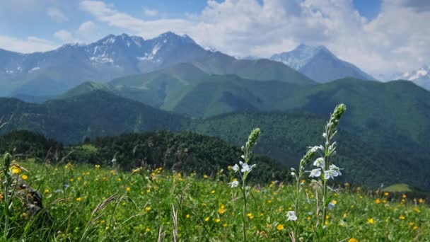 俄罗斯高加索山脉夏季景观 上午4K — 图库视频影像