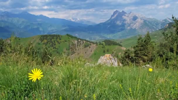 Idylliczny Krajobraz Górski Kwitnącymi Łąkami Wiosną — Wideo stockowe