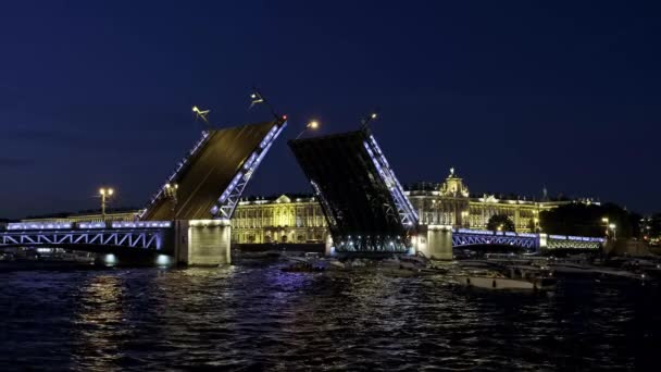 Палацовий Міст Зимовий Палац Санкт Петербурзі Нічним Освітленням Росія — стокове відео