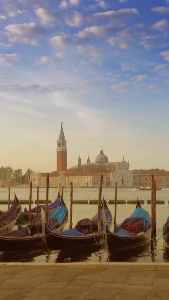 Traditional Gondolas Canal Grande San Giorgio Maggiore Church Background Morning — Vídeos de Stock
