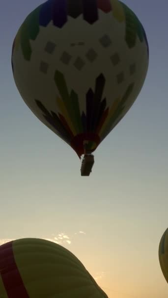 Hot Air Balloons Starting Flying Sunrise Timelapse Vertical Video — Stockvideo