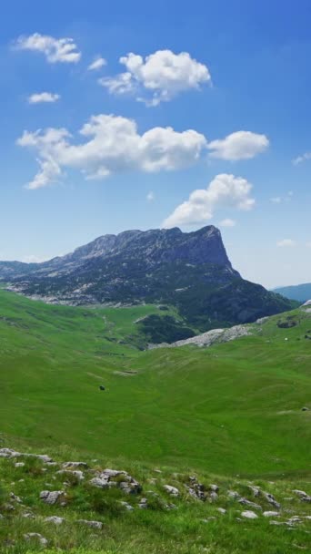 Landscape Mountains Park Durmitor Montenegro Timelapse Vertical Video — Video