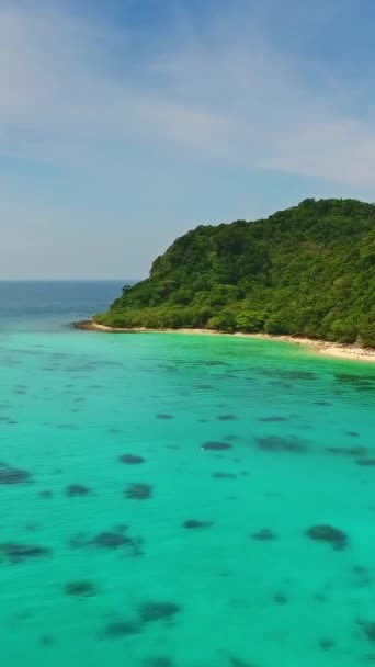 熱帯の島 タイでビーチ サンゴや海と美しさの自然景観の空中ビュー 垂直ビデオ — ストック動画