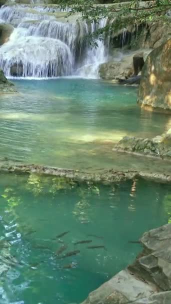 Erawan Cascada Con Peces Agua Provincia Kanchanaburi Tailandia Vídeo Vertical — Vídeos de Stock