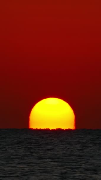 Sea Sunrise Shot Telephoto Lens Vertical Video — Vídeo de Stock