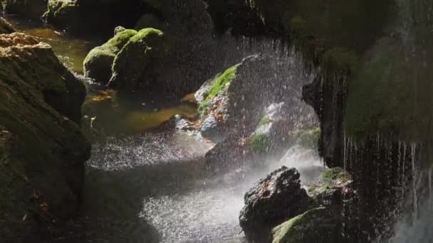 Vue Rapprochée Une Cascade Forestière Ensoleillée Avec Des Feuilles Automne — Video