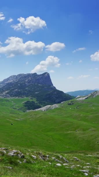 Paysage Avec Montagnes Dans Parc Durmitor Monténégro Timelapse Vidéo Verticale — Video