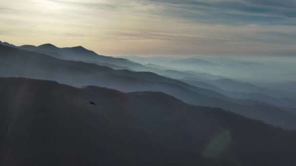 日落时分 空中鸟瞰着美丽的烟雾弥漫的高山 罗马尼亚喀尔巴阡山脉 — 图库视频影像