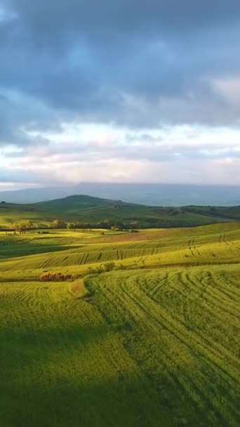 トスカーナ航空日の出農地の丘の国の風景です イタリア ヨーロッパ 垂直ビデオ — ストック動画