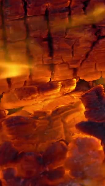 Burning Fire Firewood Coal Closeup Fireplace Vertical Video — Stock Video