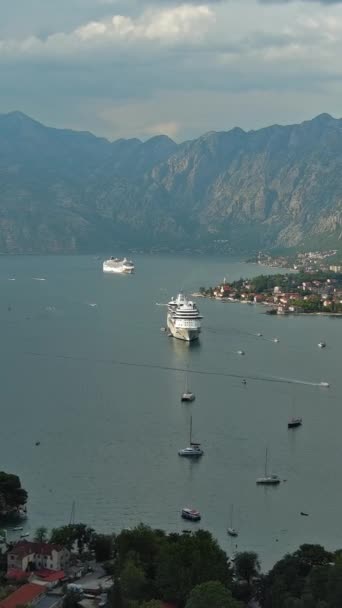 Légi Kilátás Kotor Város Sétahajó Boka Öbölben Montenegróban Függőleges Videó — Stock videók