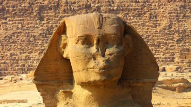 Ünlü Eski Mısır Sfenksi Başı Gülümseyip Göz Kırpıyor Giza Kahire — Stok video