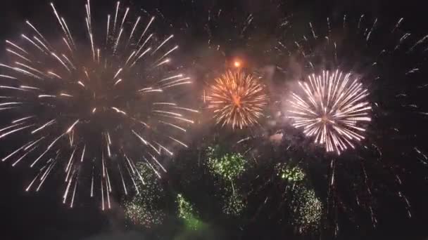 Helles Feuerwerk Das Nachts Mit Bunten Lichtern Explodiert — Stockvideo