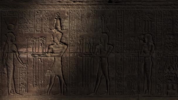 Lichte Vlek Bewegend Hiërogliefen Snijwerk Muur Van Een Oude Egyptische — Stockvideo