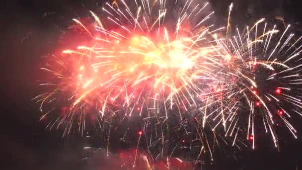 Helder Vuurwerk Explodeert Met Kleurrijke Lichten Nachts — Stockvideo