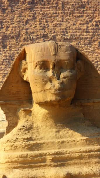 Ünlü Antik Mısır Sfenksi Başı Gülümseyip Göz Kırpıyor Giza Kahire — Stok video