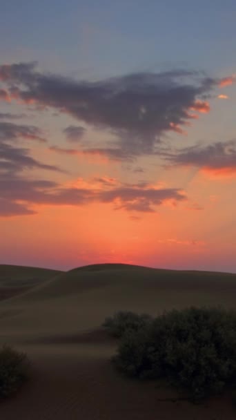 Zonsopkomst Tar Woestijn Met Prachtige Zonnestralen India Timelapse Verticale Video — Stockvideo