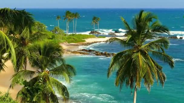 Krásná Krajina Mořskými Vlnami Tropické Pláži Kokosové Palmy — Stock video