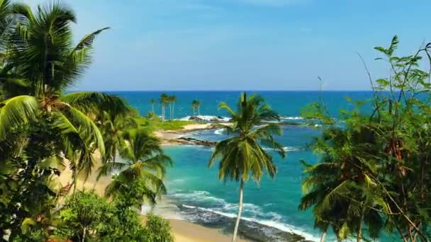 Пейзаж Морскими Волнами Пляже Кокосовыми Пальмами — стоковое видео