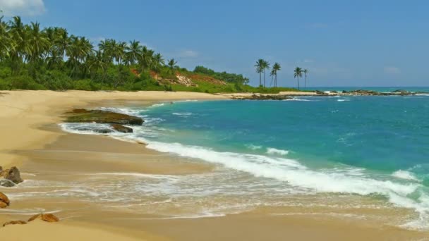 Prachtig Landschap Met Zee Golven Tropisch Strand Kokospalmen — Stockvideo