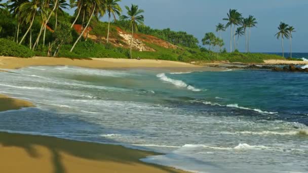热带海滩上的海景和棕榈的影子 — 图库视频影像