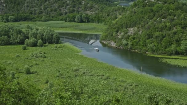 Човен Прекрасній Річці Рієка Крноєвиця Між Горами Впадають Озеро Скадар — стокове відео