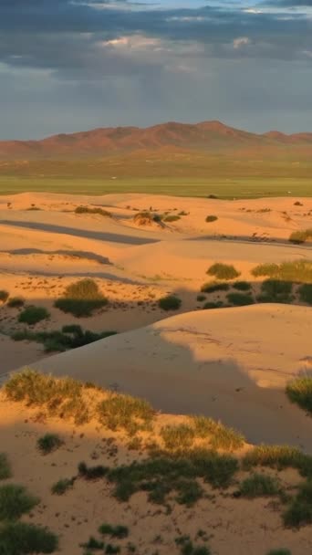 在蒙古日出时俯瞰的沙丘是Elsen Tasarhai Bayan Gobi 垂直录像 — 图库视频影像