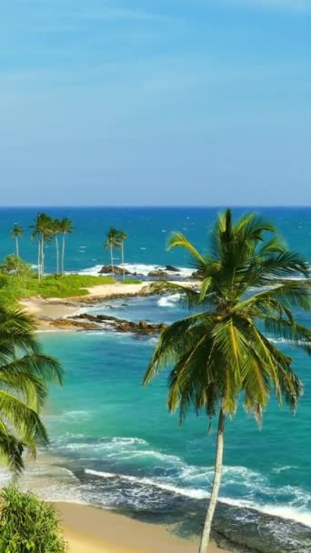 热带海滩和椰子树上有海浪的美丽风景 垂直录像 — 图库视频影像