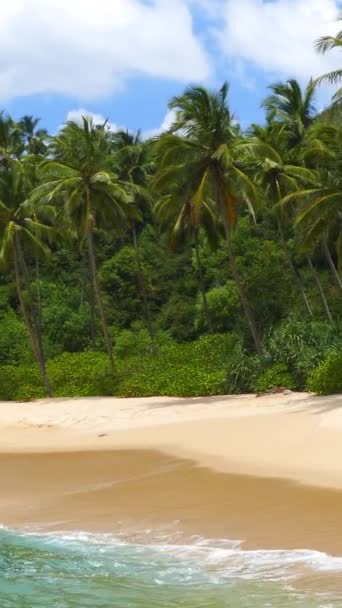 热带海滩和椰子树上有海浪的美丽风景 垂直录像 — 图库视频影像