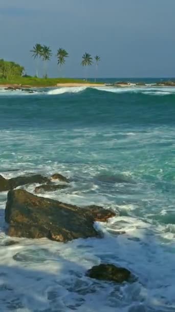 Пейзаж Морськими Хвилями Тінь Долоні Тропічному Пляжі Ввечері Вертикальне Відео — стокове відео