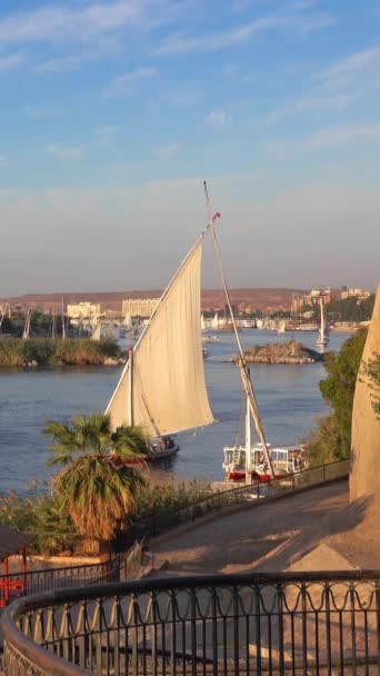 エジプトの日没時にアスワンのナイル川にフェルーカ船と美しい風景 垂直ビデオ — ストック動画