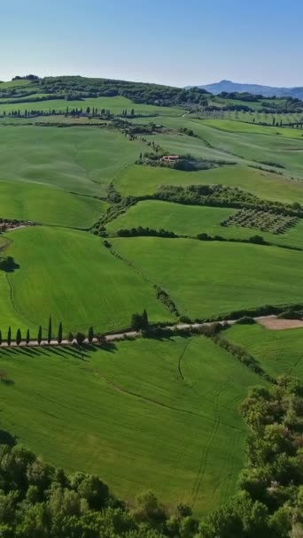 Paysage Aérien Toscan Avec Route Cyprès Collines Agricoles Coucher Soleil — Video