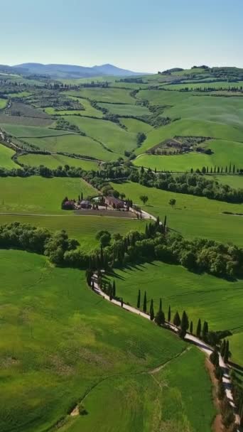Flyglandskap Toscana Med Väg Och Cypresser Över Jordbrukslandskapet Vid Solnedgången — Stockvideo