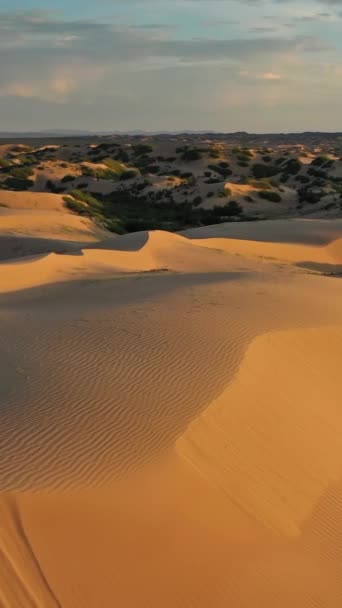 Aerial View Sand Dunes Elsen Tasarhai Bayan Gobi Sunrise Mongolia — Stock Video
