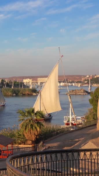 Günbatımında Mısır Aswan Nil Nehrinde Felucca Botlarıyla Güzel Bir Manzara — Stok video