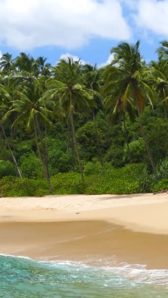 Beau Paysage Avec Des Vagues Mer Sur Plage Tropicale Cocotiers — Video