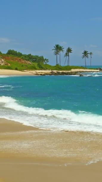 Bela Paisagem Com Ondas Mar Praia Tropical Coqueiros Vídeo Vertical — Vídeo de Stock