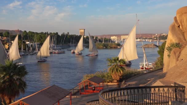 Beau Paysage Avec Des Bateaux Felucca Sur Nil Assouan Coucher — Video