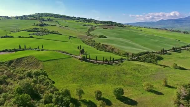 Paysage Aérien Toscan Collines Agricoles Italie Europe — Video