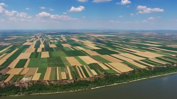 Αεροφωτογραφία Πολύχρωμων Πεδίων Στην Ψηλή Όχθη Του Ποταμού Δούναβη Στη — Αρχείο Βίντεο