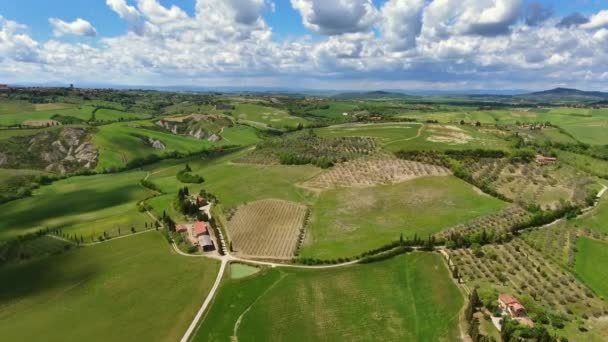 Krajobraz Lotniczy Toskanii Drzewami Oliwnymi Wiejskiego Wzgórza Włochy Europa — Wideo stockowe