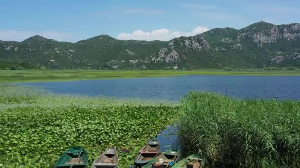 Légi Kilátás Hajók Gyönyörű Skadar Között Hegyek Nyáron Montenegró — Stock videók