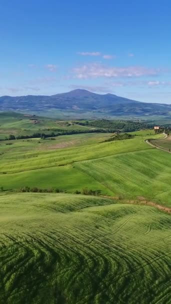 Krajobraz Powietrzny Toskanii Wsi Farmland Hill Wieczorem Włochy Europa Pionowe — Wideo stockowe