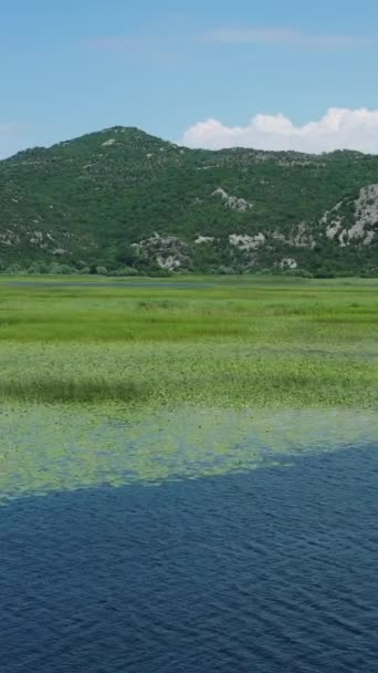 Αεροφωτογραφία Των Σκαφών Στην Όμορφη Λίμνη Skadar Μεταξύ Των Βουνών — Αρχείο Βίντεο