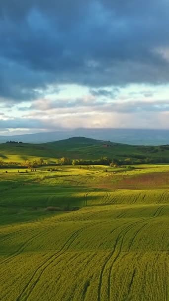 トスカーナ航空日の出農地の丘の国の風景です イタリア ヨーロッパ 垂直ビデオ — ストック動画