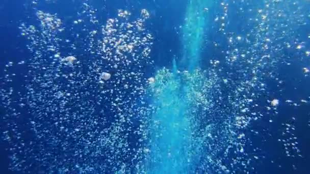 Luftbubblor Och Solstrålar Vatten — Stockvideo