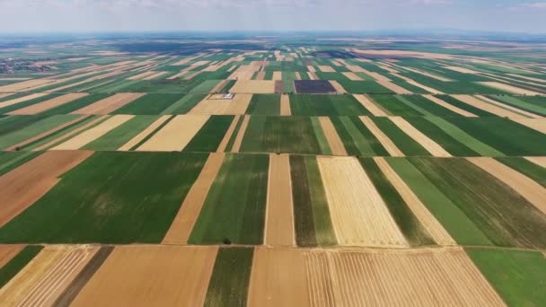 Paesaggio Aereo Rurale Con Campi Agricoli Multicolore Serbia — Video Stock